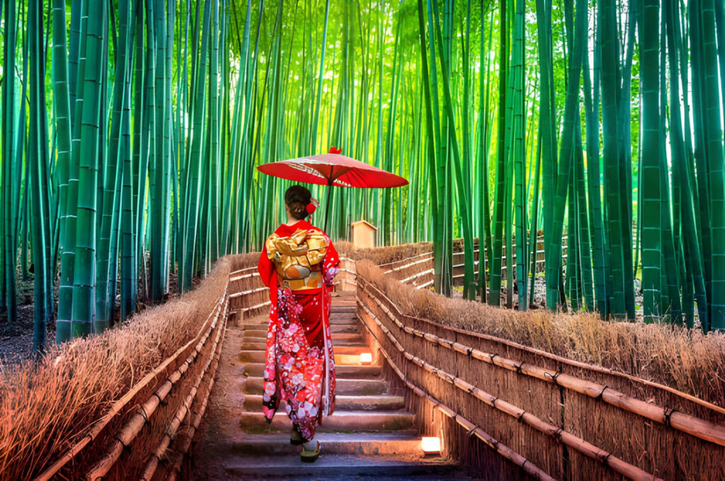 Discover Kyoto 2026: Timeless Temples, Modern Culture, and Autumn Gardens kyoto