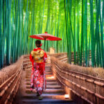 Discover Kyoto 2026: Timeless Temples, Modern Culture, and Autumn Gardens kyoto