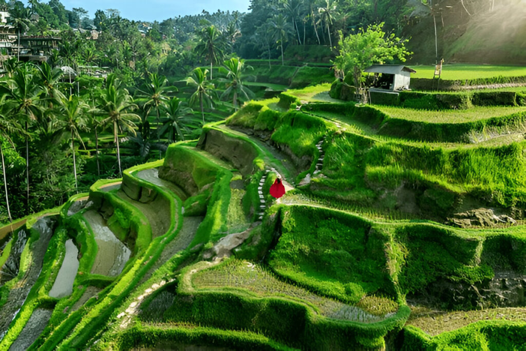 10 Magical Solo Travel Destinations To Fall In Love With The World Again tourist in red dress walking on tegalalang rice terrace